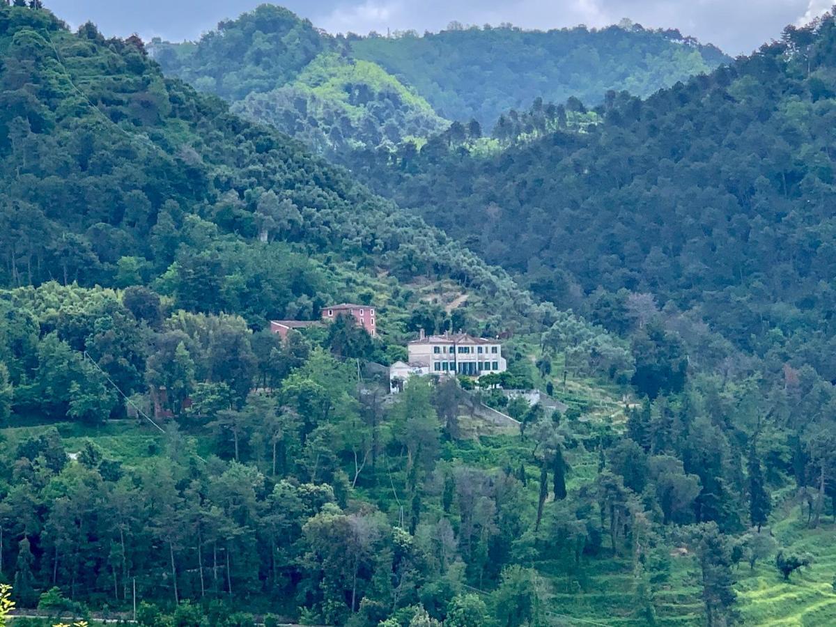 Agriturismo Villa Cavallini Camaiore Exterior photo