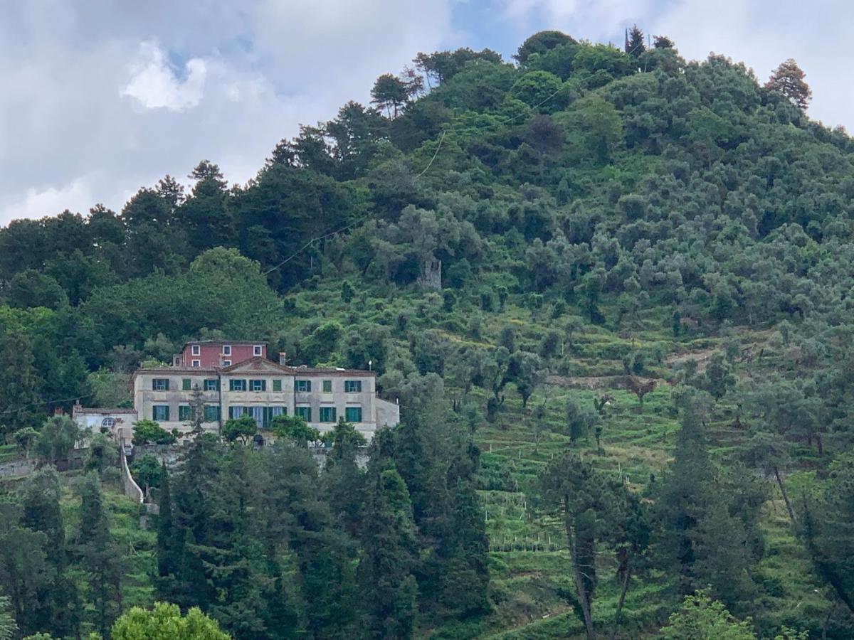 Agriturismo Villa Cavallini Camaiore Exterior photo